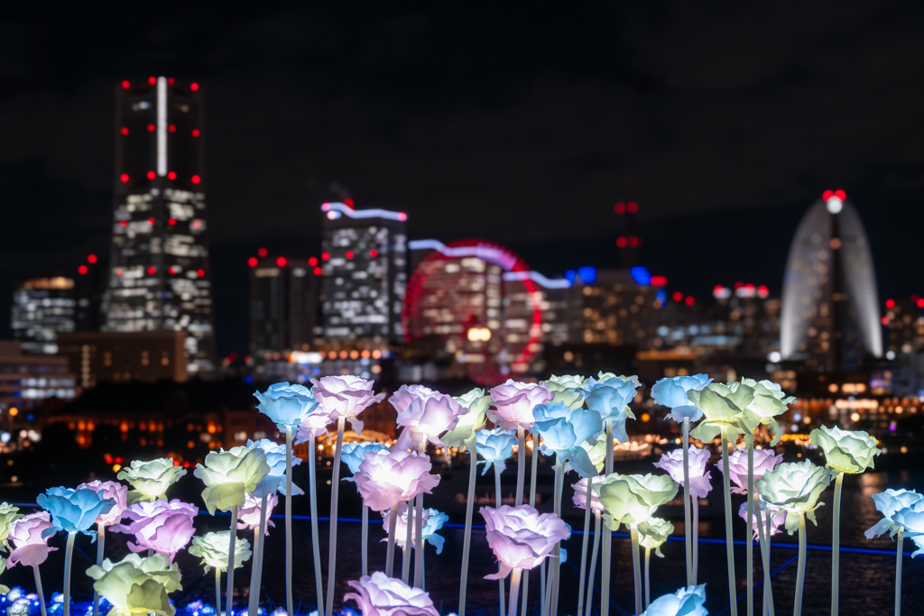 ヨルノヨ 大さん橋