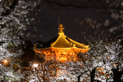 桜 不忍池辨天堂