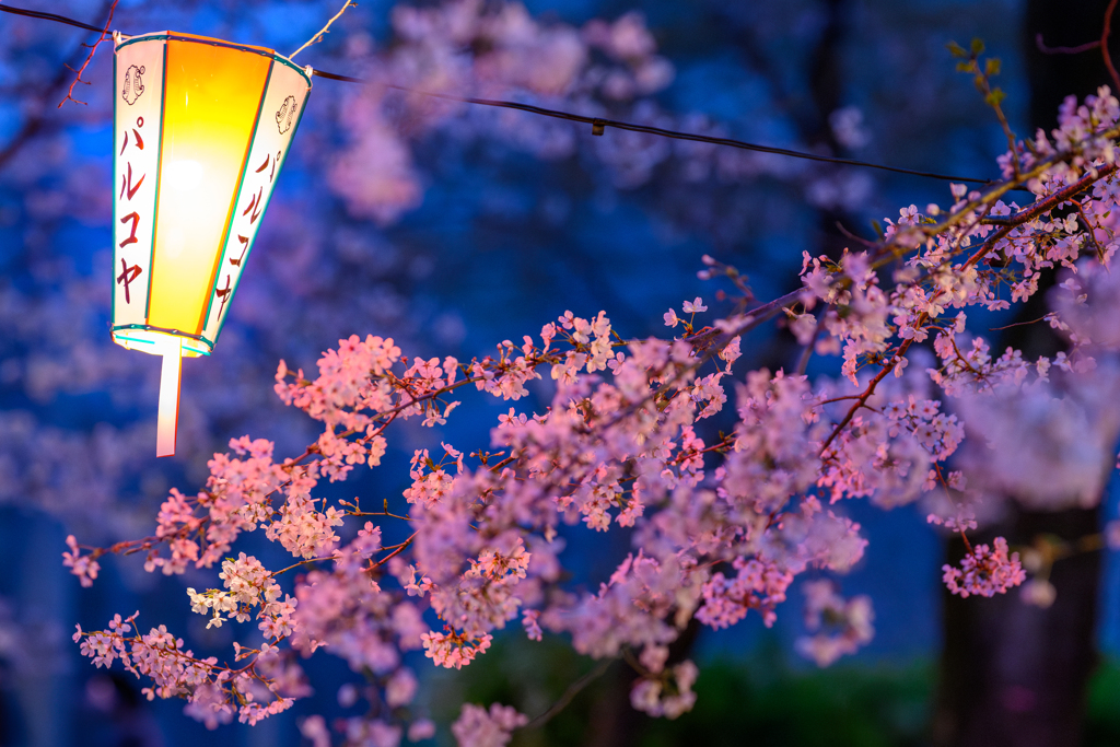 うえの桜まつり