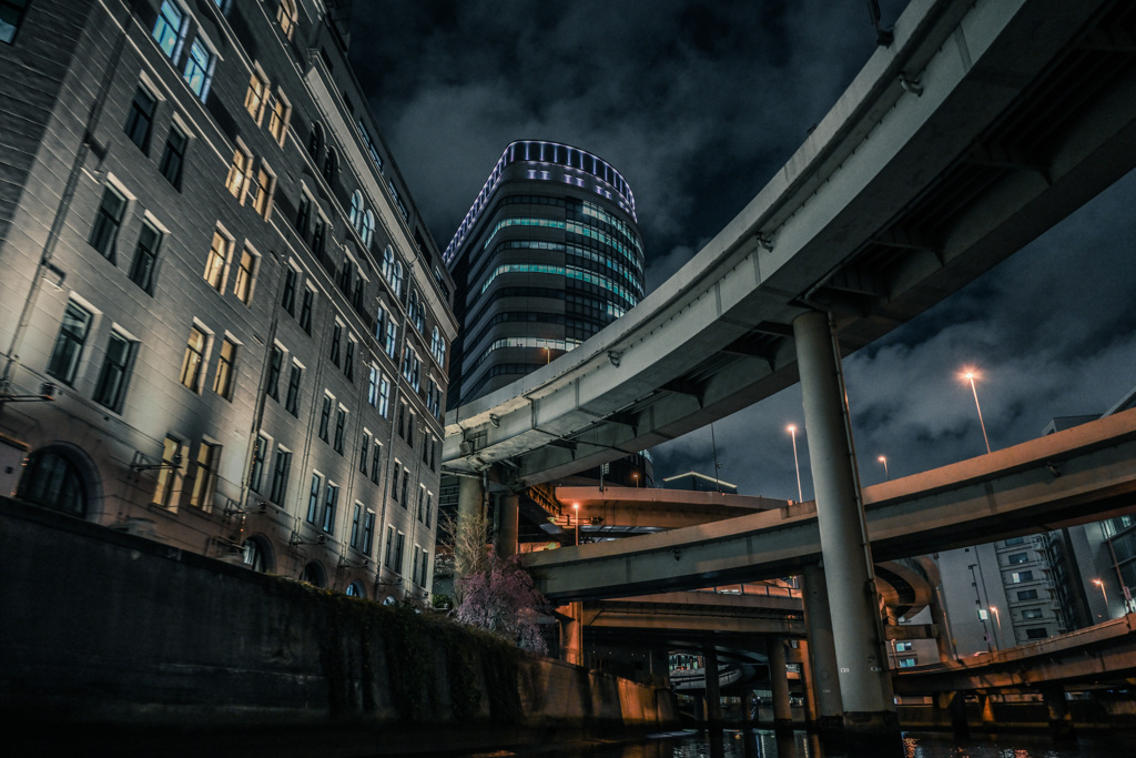 夜桜散歩(日本橋～越中島クルーズ)