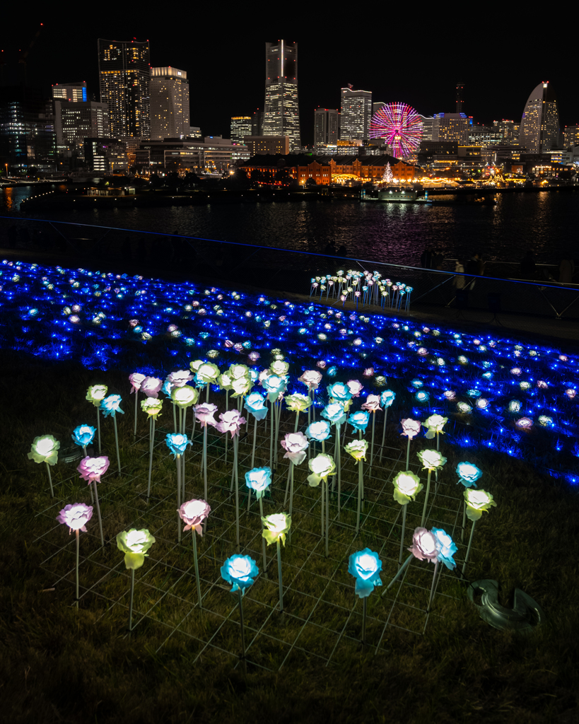 ヨルノヨ 大さん橋