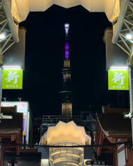 浅草新仲見世商店街