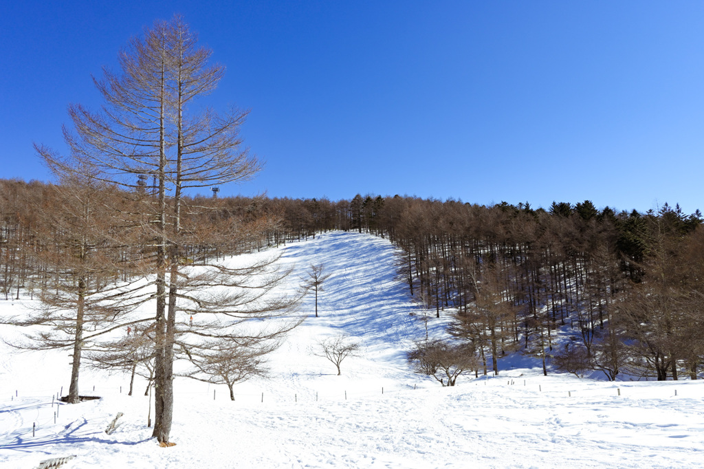 入笠山①