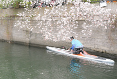 桜2021_7