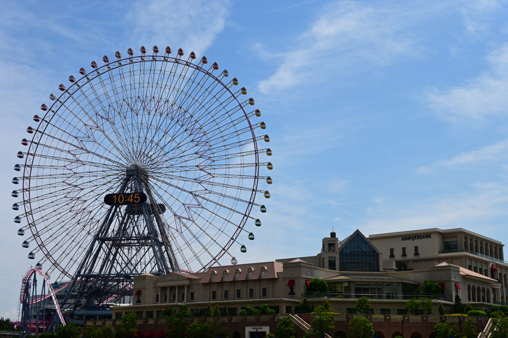 DSC_0787_00001