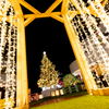 横浜ベイクォーター クリスマスワンダーランド