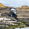 城ヶ島 馬の背洞門