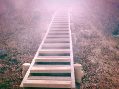 ヤビツ峠～塔ノ岳