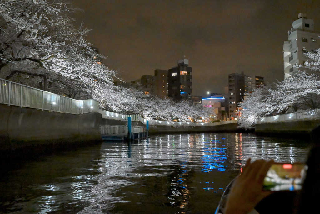 夜桜散歩(日本橋～越中島クルーズ)