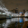 夜桜散歩(日本橋～越中島クルーズ)