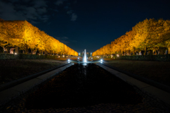 カナール角刈り