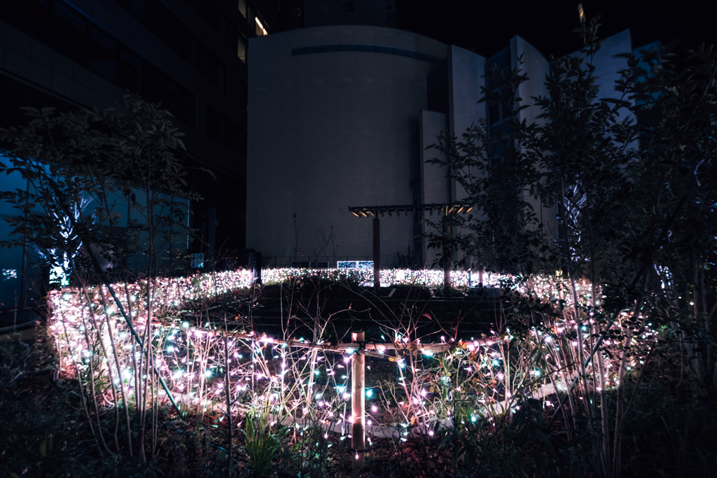 Shibuya Sakura Stage