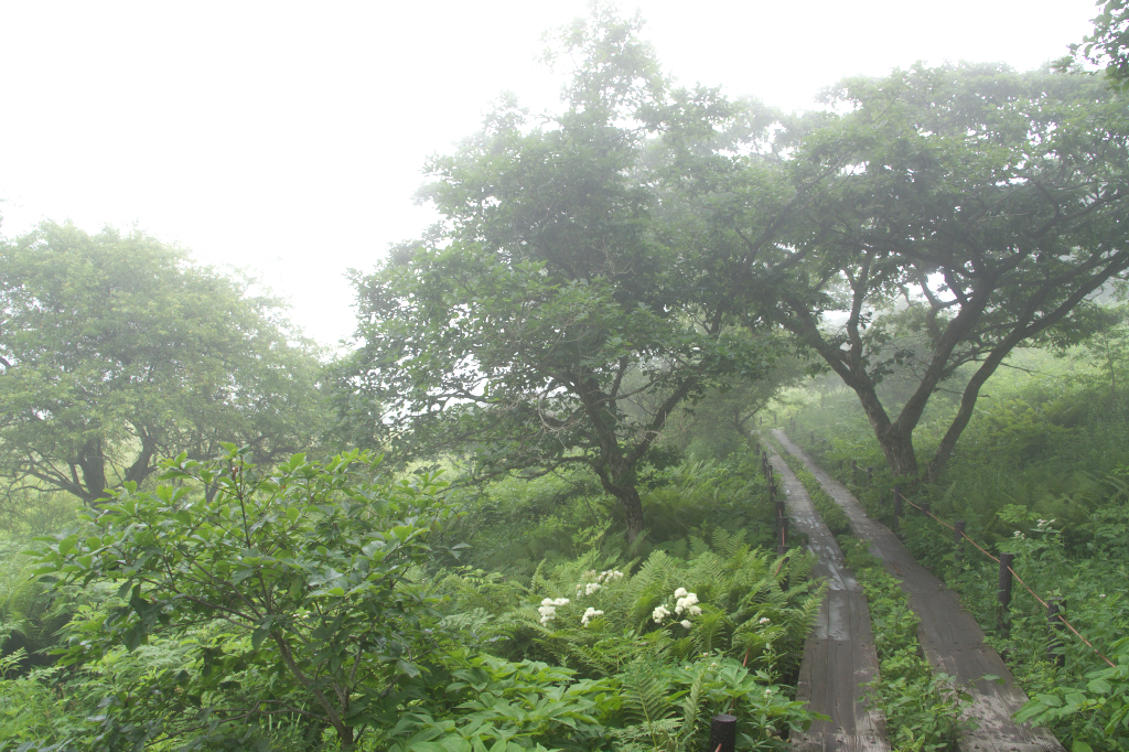 DSC02950