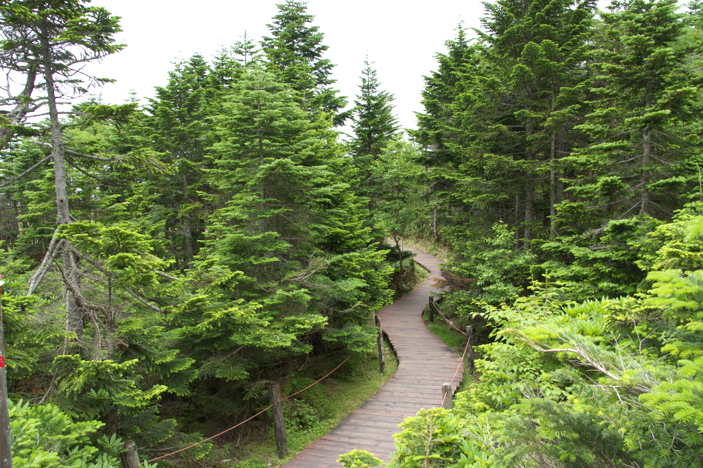 DSC02760