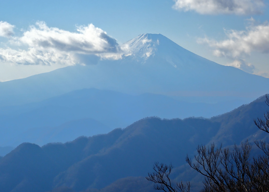 丹沢縦走(丹沢山～西丹沢ビジターセンター)①