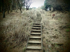 ヤビツ峠～塔ノ岳