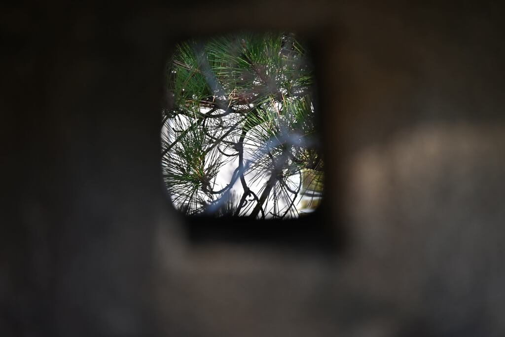 DSC_0677_00001