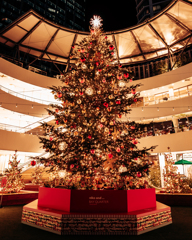 横浜ベイクォーター クリスマスフォレスト