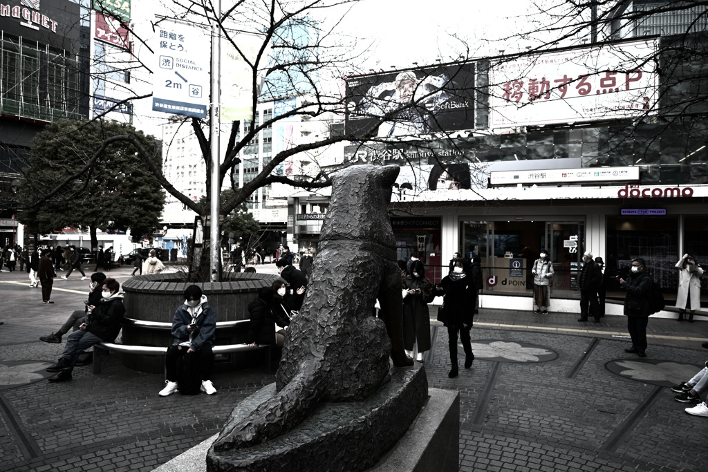渋谷散歩