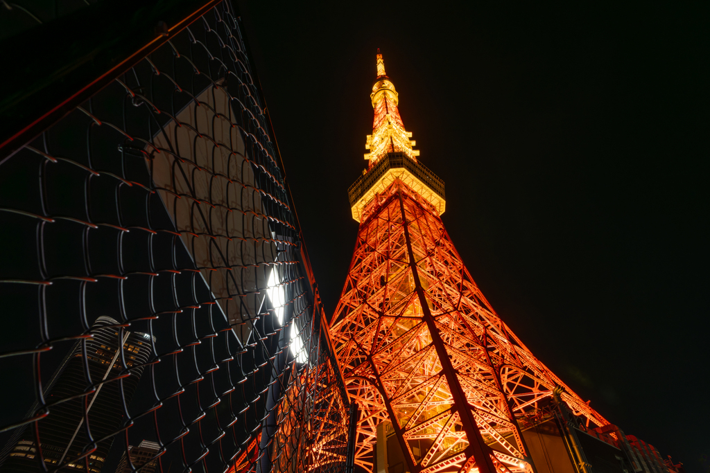 東京タワー(ランドマークライト)