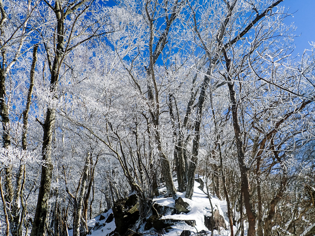 赤城山②