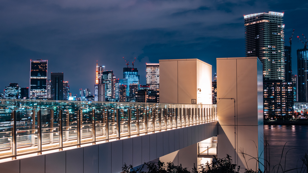 豊洲市場 屋上緑化広場