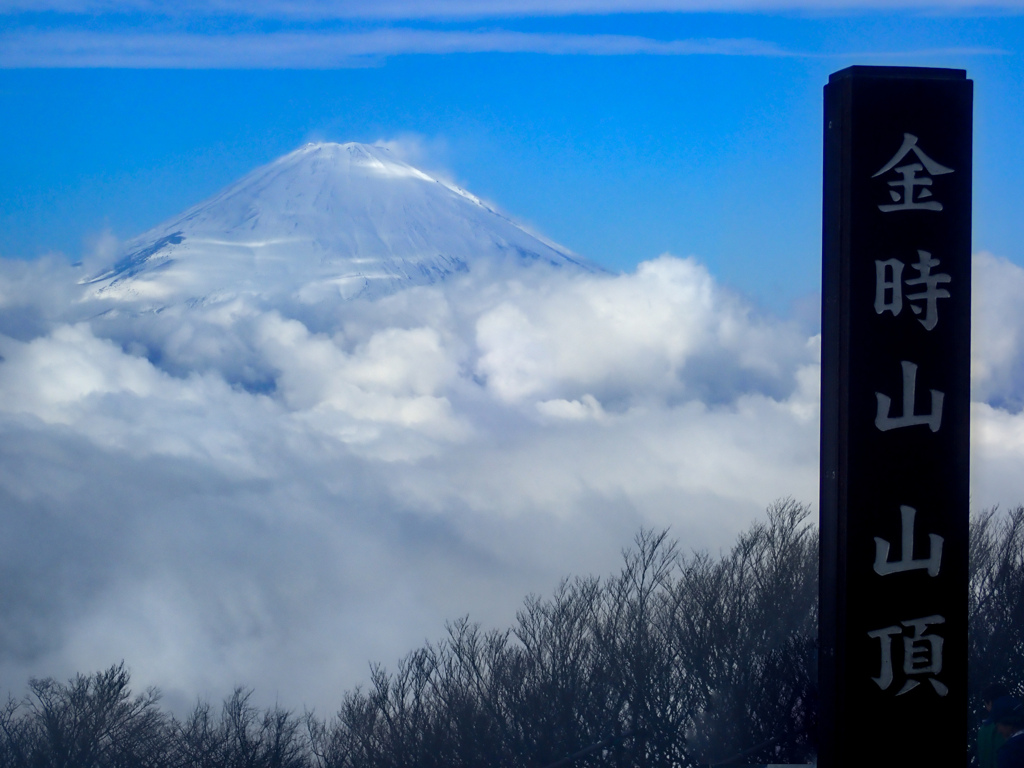 金時山～明神ヶ岳縦走②