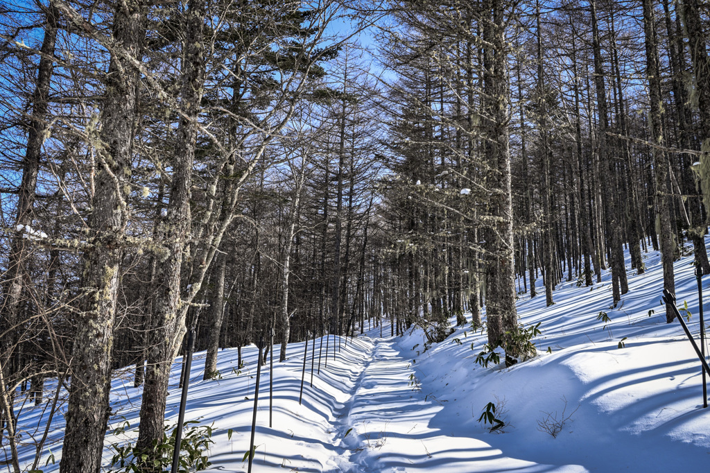 入笠山④