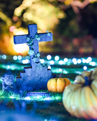 ハロウィンナイト ハロウィンナイト