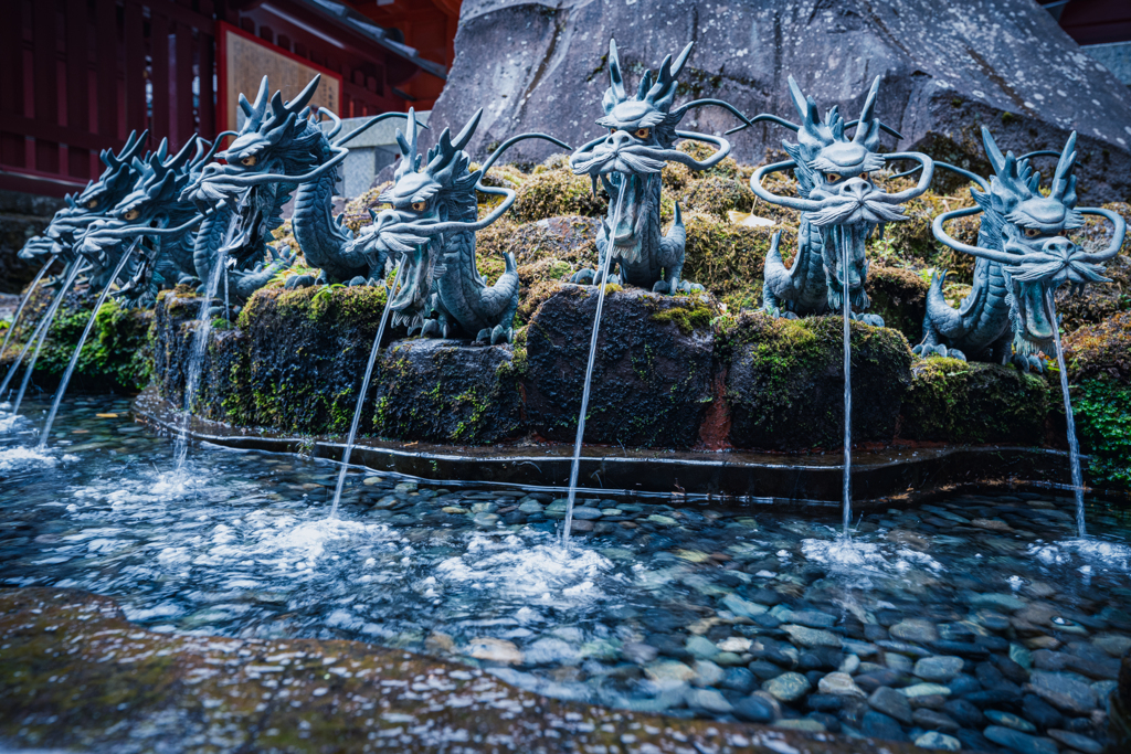 九頭竜神社 (写真展 辰)