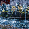 九頭竜神社 (写真展 辰)