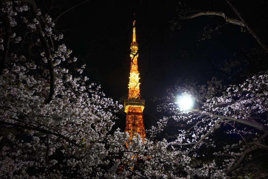 芝公園