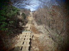 ヤビツ峠～塔ノ岳