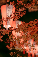 うえの桜まつり