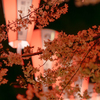 うえの桜まつり