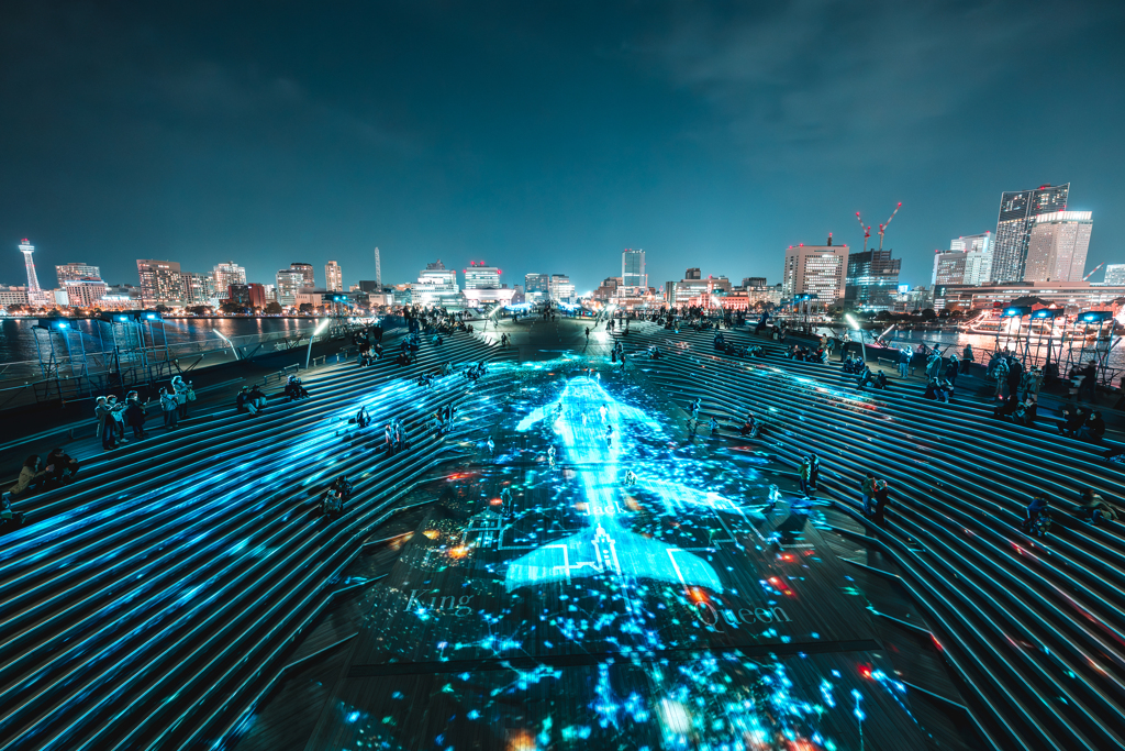 ヨルノヨ クジランド