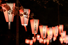 うえの桜まつり