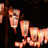 うえの桜まつり