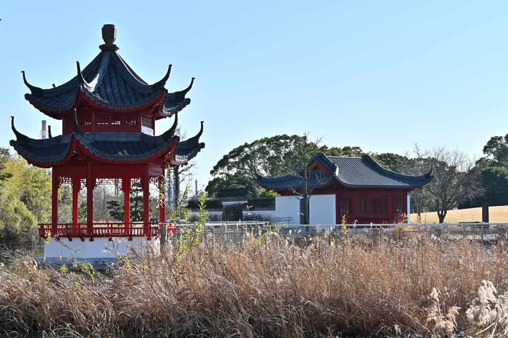 DSC_2584_00001