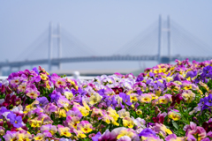山下公園