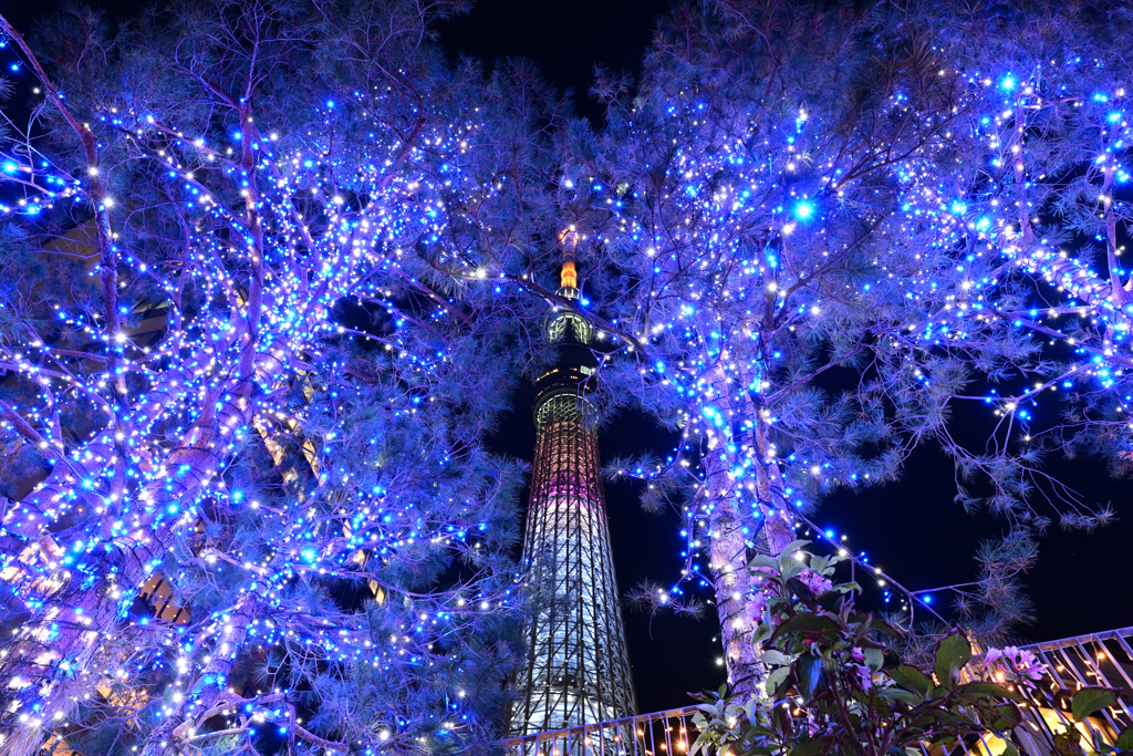 ラッコ☆星ふるスカイツリー