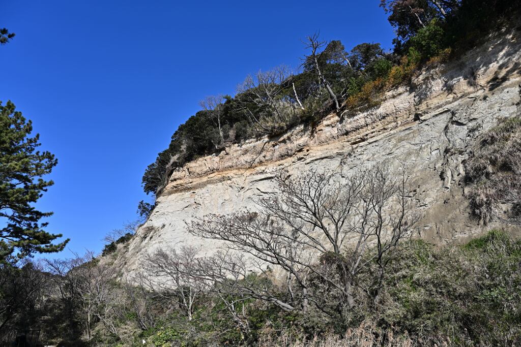 DSC_2570_00001
