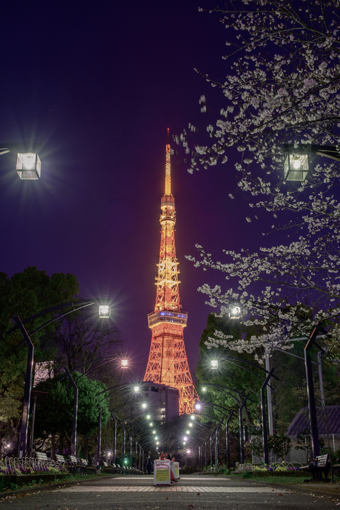 芝公園