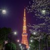 芝公園