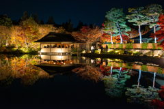 昭和記念公園 日本庭園