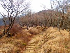 ヤビツ峠～塔ノ岳