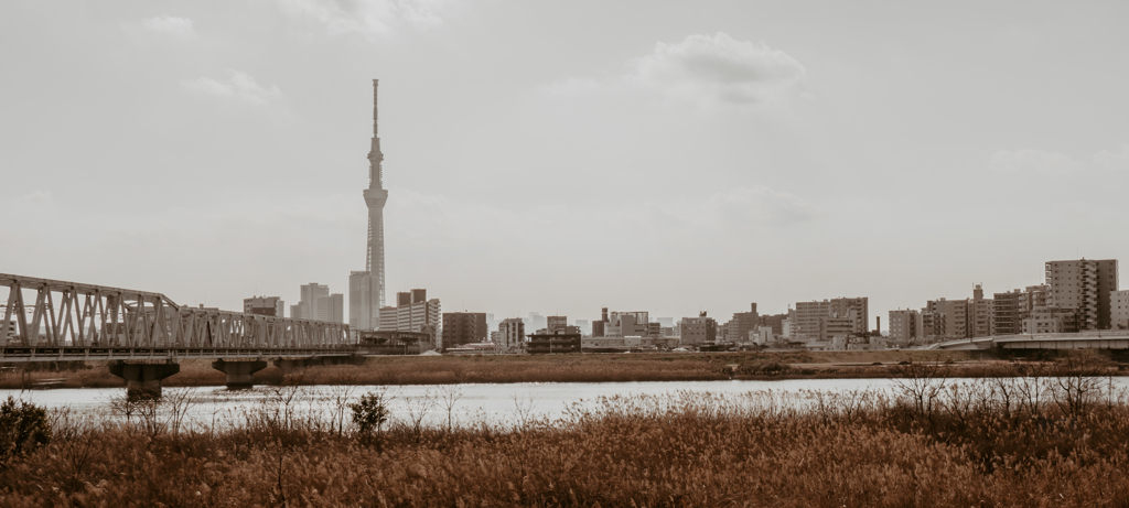 スカイツリー 遠景