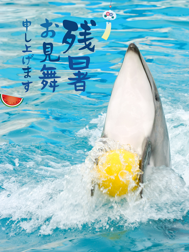 残暑お見舞い申し上げます