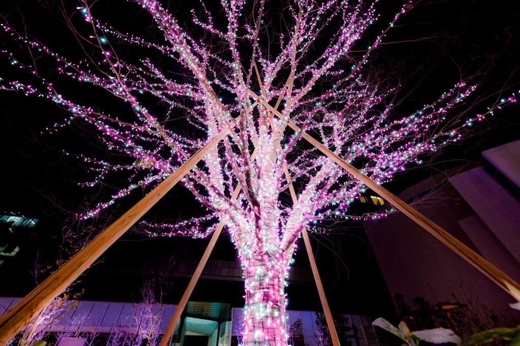 Shibuya Sakura Stage