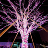 Shibuya Sakura Stage
